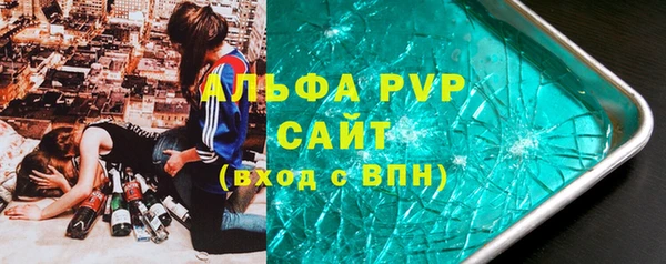 стаф Тавда